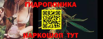 PSILOCYBIN Берёзовский